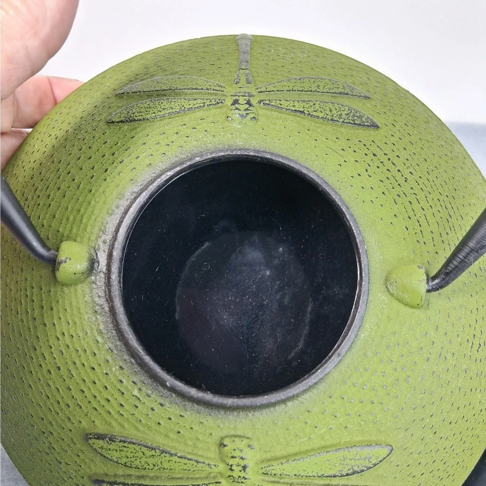 Japanese Tetsubin Teapot Green Cast Iron Dragonfly Enamel Interior NIB